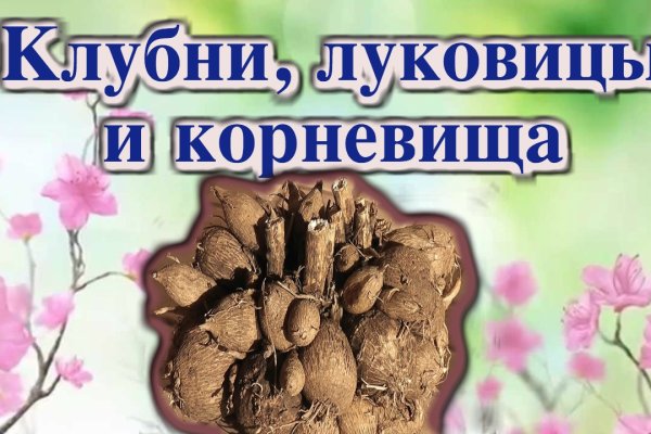 Ссылка в блэкспрут