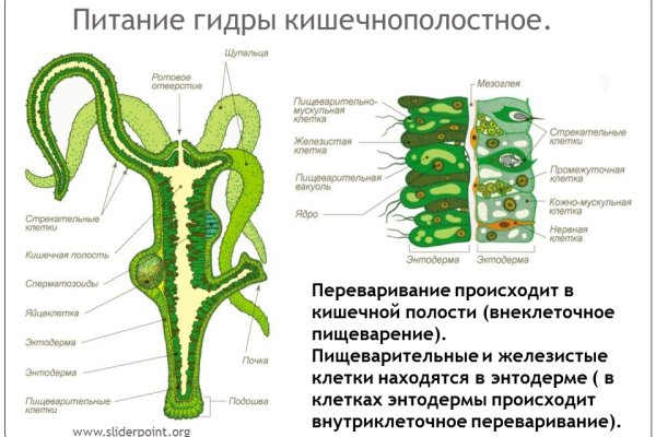 Сайт омг магазин закладок москва