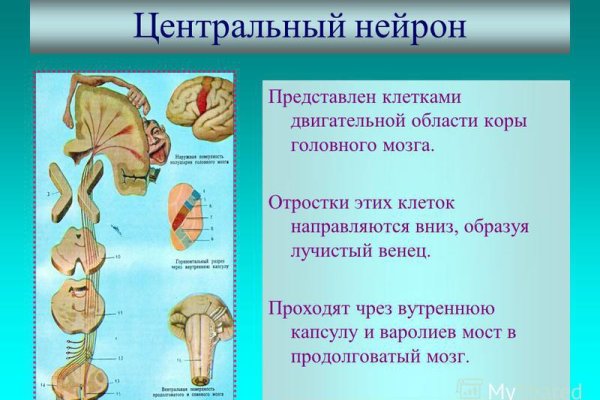 Кракен рабочий сайт