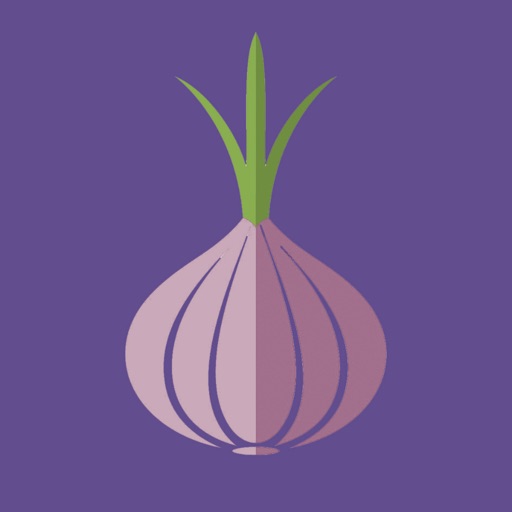 BlackSprutruzxpnew4af onion tor